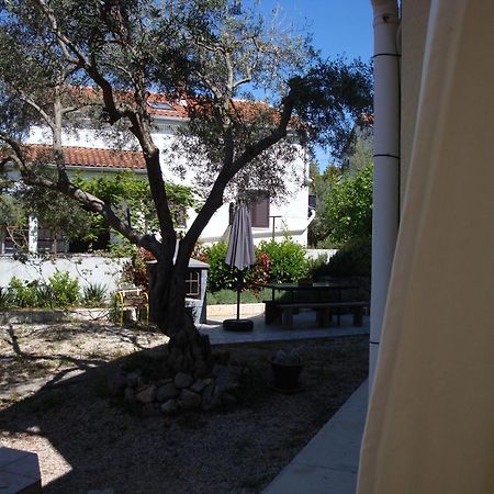 Apartments Olea Pinezići Buitenkant foto